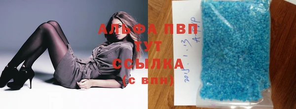 ГАЛЛЮЦИНОГЕННЫЕ ГРИБЫ Надым