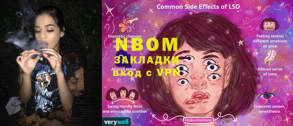 ГАЛЛЮЦИНОГЕННЫЕ ГРИБЫ Надым