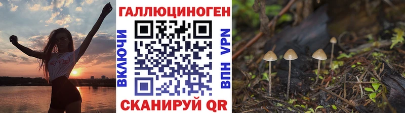 Купить закладки  Славянск-на-Кубани  Галлюциногенные грибы ЛСД 